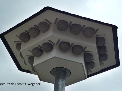 Schwalbenhaus Modell 30